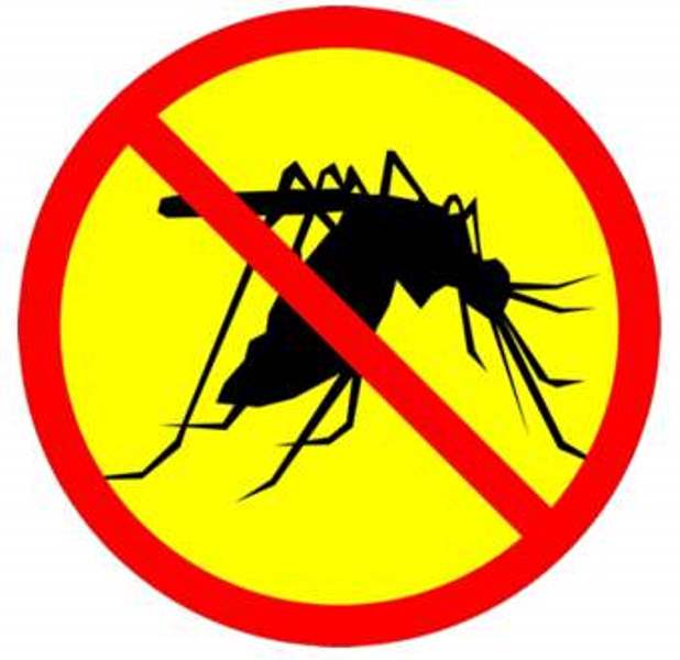 Први третман против комараца